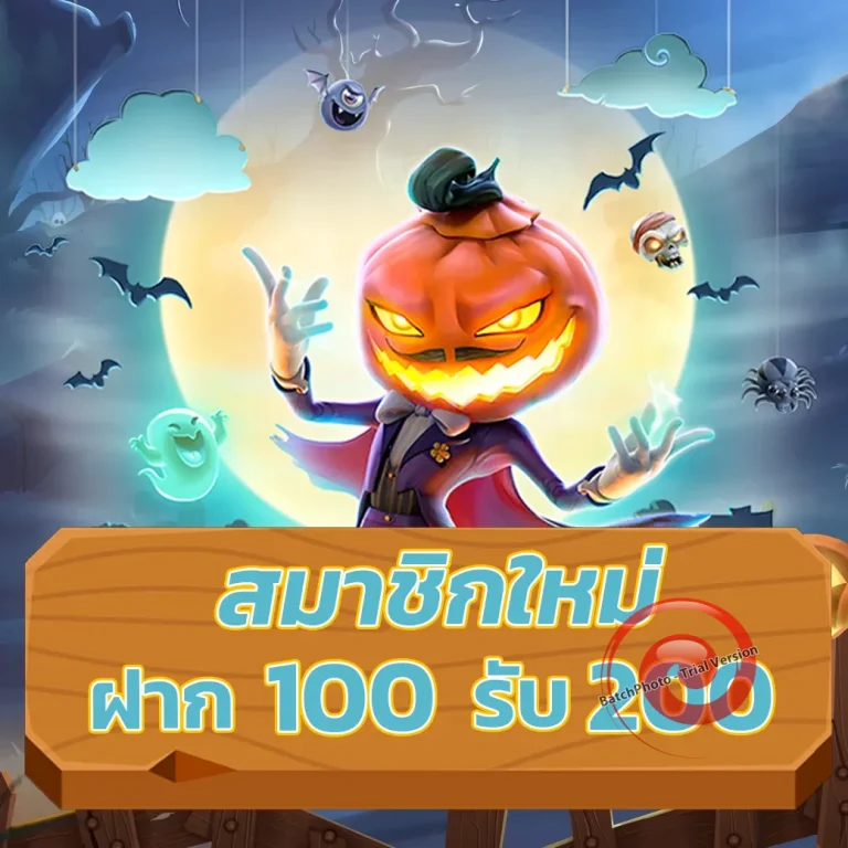 windragon 239 เข้าสู่ระบบ